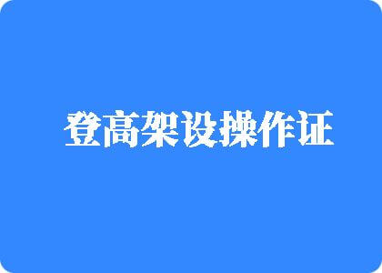 白色骚逼视频登高架设操作证